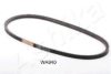 ASHIKA 109-WA940 V-Belt